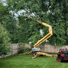 Trusted Greens Farms, CT Tree Removal and Landscaping Services Experts